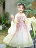 Girl's Pink and Green Chiffon Hanfu Retro Embroidery Ancient Style Long Dress Spring Long-sleeve 4-10 Years